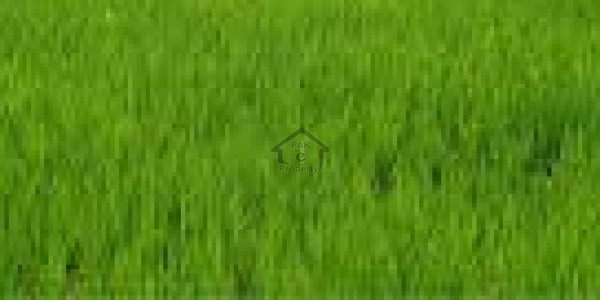 Balkasar - Land Is Available For Sale IN Chakwal