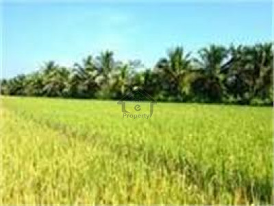 Balkasar - Land Is Available For Sale IN Chakwal