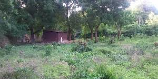Bani Gala-8 Marla-Plot Available For Sale