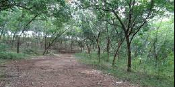 Bani Gala,5 Kanal -Plot Is Available For Sale