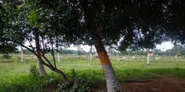 Five Kanals Bansra Gali Murree