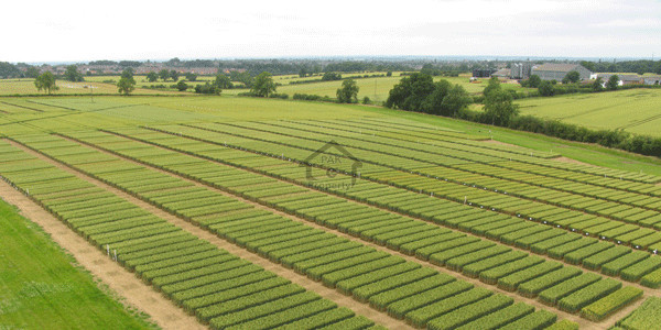 Faisal Town - 8 Marla -Plot Is Available For Sale In Block A