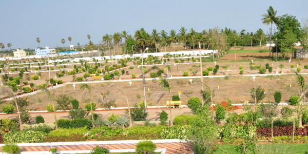 20 Kanal Investor Rate Boulevard Farm House Plot