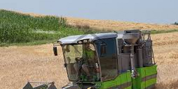 Agricultural Land Is Available For Sale