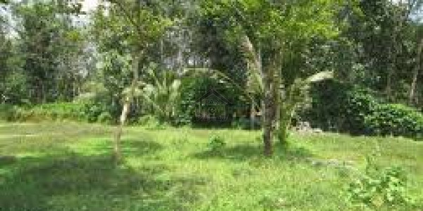 I-11/2,6 Marla 25x60 Residential Plot For Sale