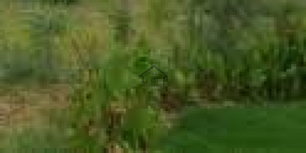 Government Teacher Housing Society, Scheme 33 - 400 Square Yards Corner For Sale In Govt Teachers 16 A IN Karachi