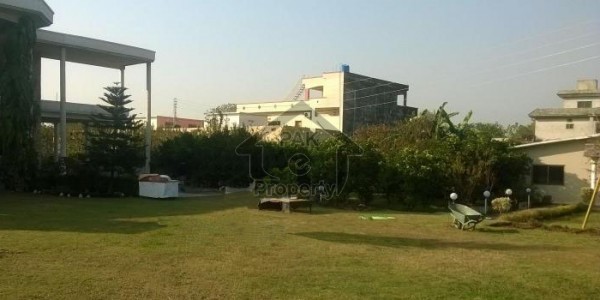 F-10 511,sqyd 6,bed room House available For Rent.