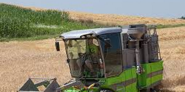 Agricultural Land Is Available For Sale