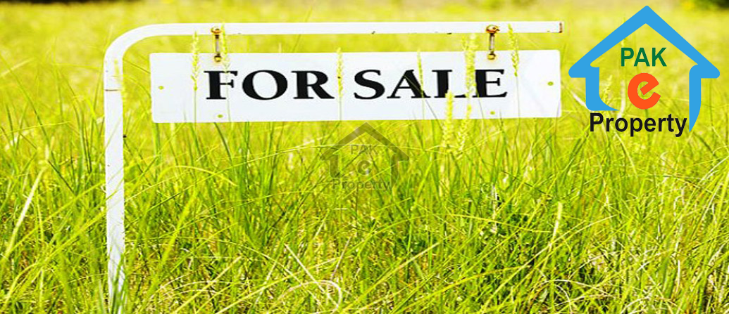 F-10 500,sqyd 5,bed room neat and clean House available for Rent.