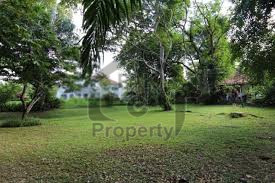 Agricultural Land Is Available For Sale