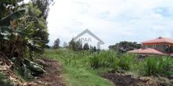 Agricultural Land Is Available For Sale