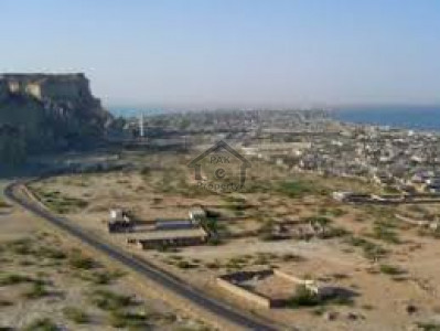 Mouza Chatti Shumali-15 Acre Land Is Available For Sale In Mouza Chatti Shumali Gwadar