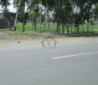 Qayyumabad-Qayyumabad Behind Imtiaz Super Store Immunity Plot For Sale In Karachi
