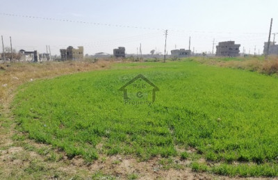 Wapda Town Sheikhupura -5 Marla - Plot For Sale