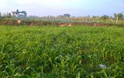 Adiala Road, 400 Kanal Agri Land For Sale