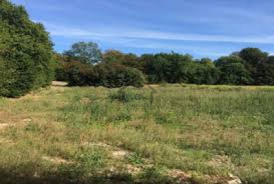 DC Colony - Chenab Block, 3,825 sqft-Corner Plot Is Available For Sale