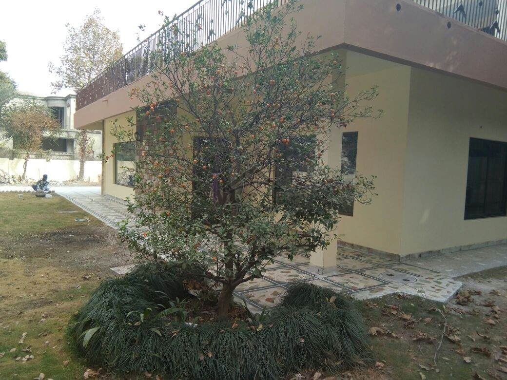 Beautiful Renovated House Available For Rent In Sector F-7 College Road