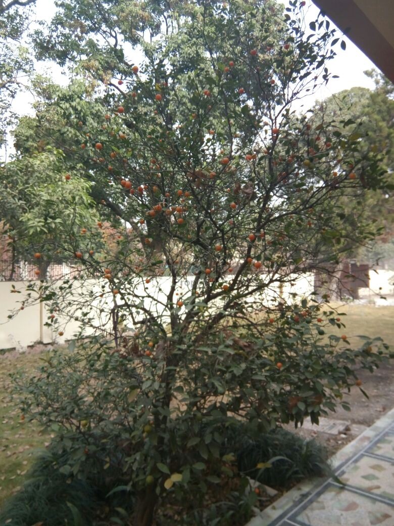 Beautiful Renovated House Available For Rent In Sector F-7 College Road