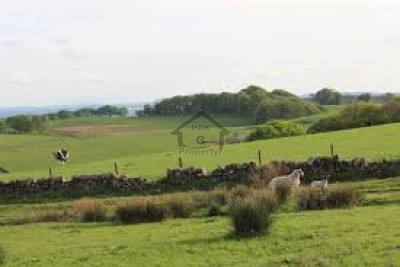 B-17,- 8 Marla Clear Possession Plot For Sale In D Block