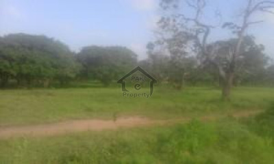 plot for sale  c-16