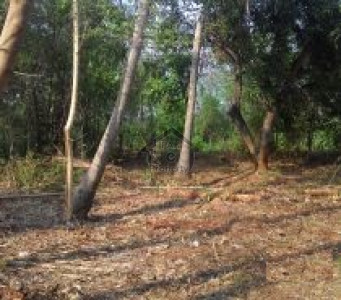 Bahria Town Phase 8 - Sector E-1, -5 Marla-Pair Plot For Sale