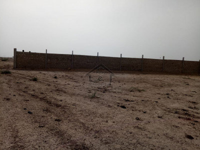 Land for cattle farm