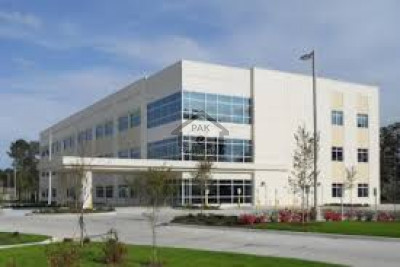 B-17- 13.3 Marla -  Brand New Plaza With Possession for sale.