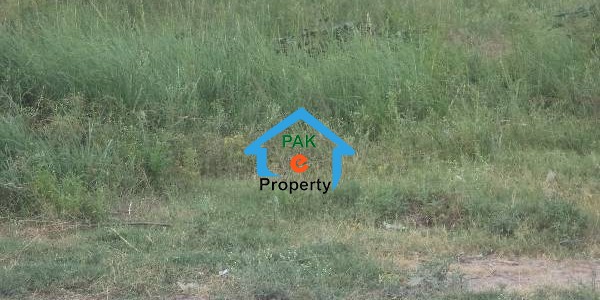 Beautiful Plot Available For Sale In Sector C-16 Prime Location