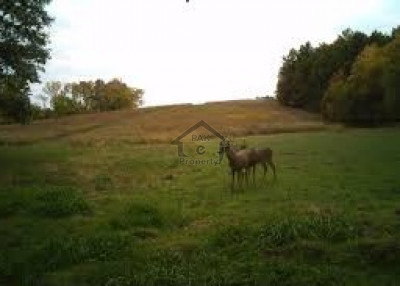 Bahria Town - Tauheed Block, 1 Kanal  -  Plot Is Available For Sale