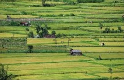 Air Avenue - Block P, - 1 Kanal - Plot For Sale ...