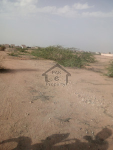 Shah Latif, Sector 21C, N type plot for sale