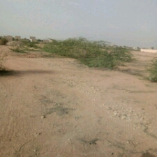 Shah Latif, Sector 21C, N type plot for sale