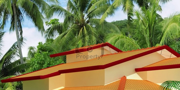 Commercial House Is Available For Rent