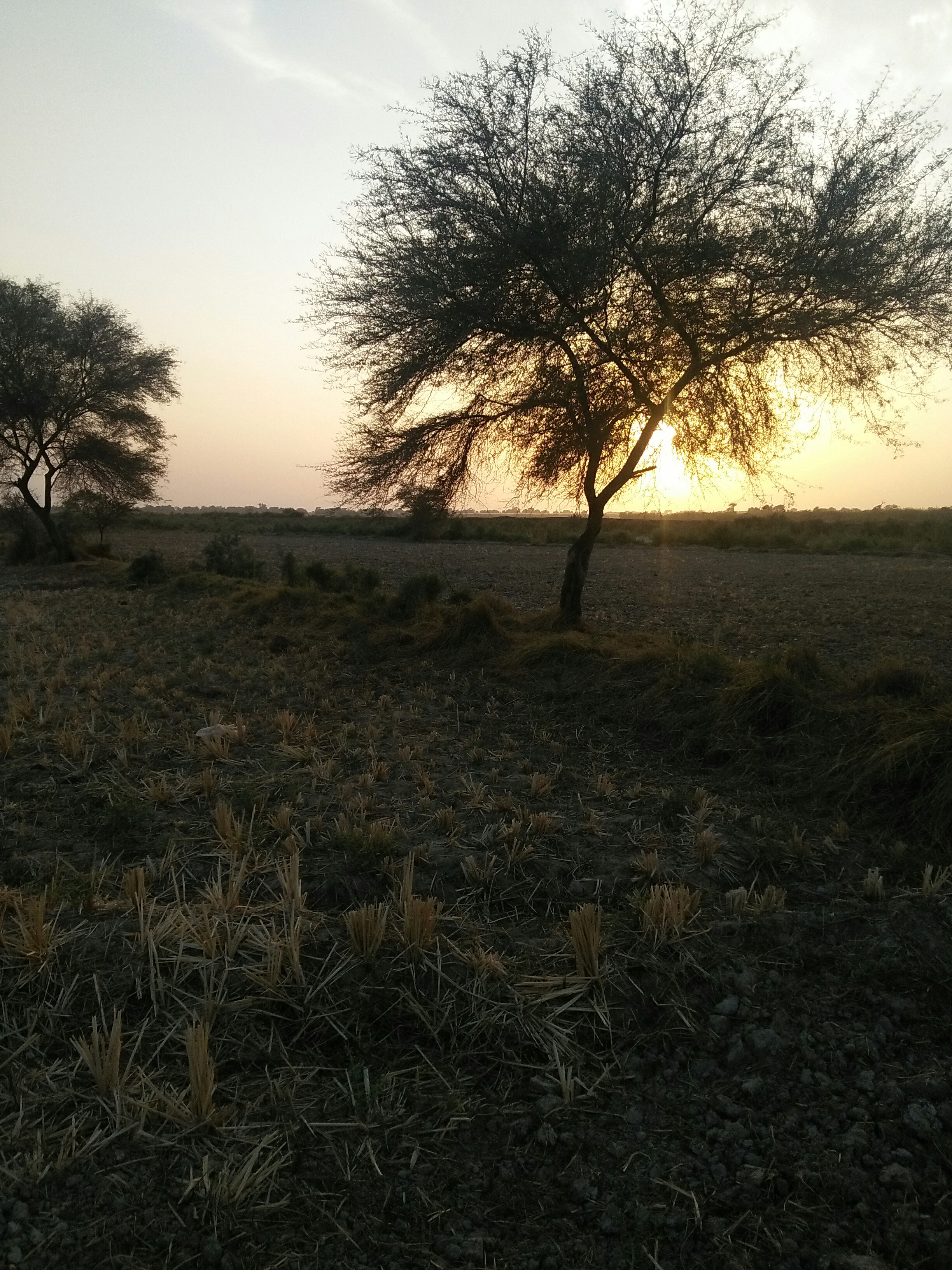 105 acre cultivated land near Hyderabad city