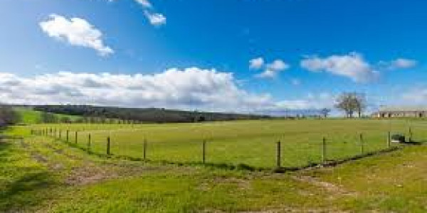 Top City - Block A, - 10 Marla - Plot For Sale.