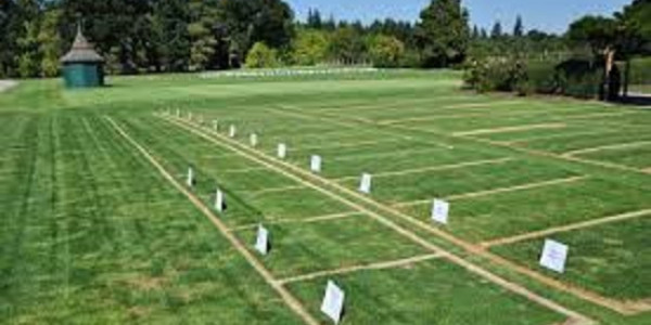 I-16/2,- 5 Marla - Plot Available For Sale .