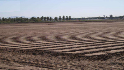 Bahria Greens - Overseas Enclave - Sector 3, -10 Marla - Plot For Sale