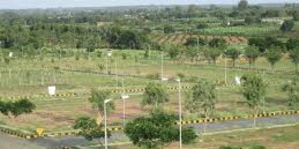 Bahria Town Phase 8 - Bahria Orchard,-5 Marla - Pair Plots for sale.