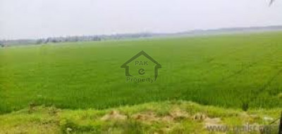 GT Road, - 2,720 Kanal -  Land For Sale In Okara .