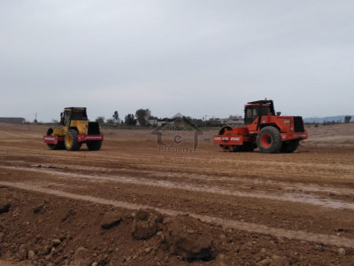 Overseas Block (Blue World City)