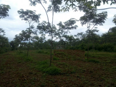 DHA Defence - Sector B - 1 Kanal - Plot for sale ..