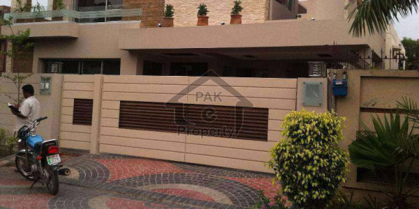 Commercial House For Rent