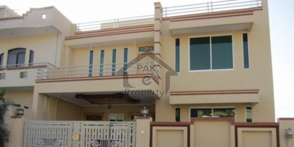 Commercial House For Rent