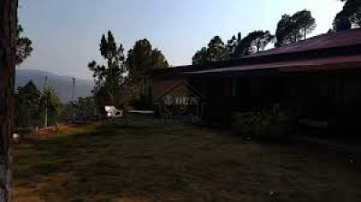 Mansehra, - 1 Kanal - Commercial Plot for sale.