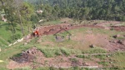 10 Marla Plot For Sale in Abbottabad.