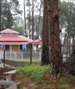 Abbottabad - 2.5 Kanal - Plot Is Available For Sale In Bata Kundi.