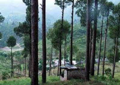 Batakundi - 10 Kanal-  Land For Sale In Naran ..