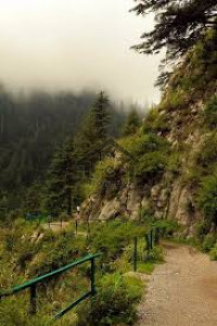 Kaghan Colony, - 2 Kanal - plot  For Sale in Abbottabad.