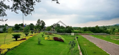 2 Years Payment Plan