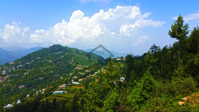 23 Kanals of prime land for sale in Patriata (New Murree) located off Main Patriata Road.